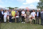 Havza'da Festival Yayla Şenliği ile Final Yaptı